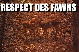 Respect Des Fawns with a picture of deer