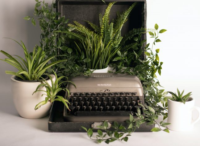 Houseplants with a typewritter